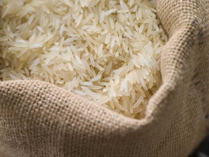 1121 Basmati Rice sella